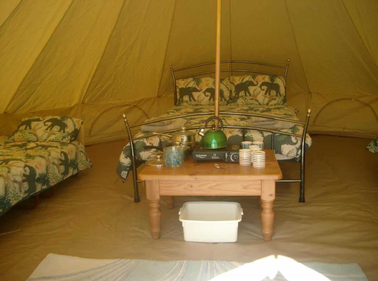 Cornish Skies Glamping Pool Exterior foto